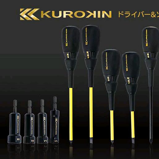 卖掌柜的小货柜(跨境电商TikTok )