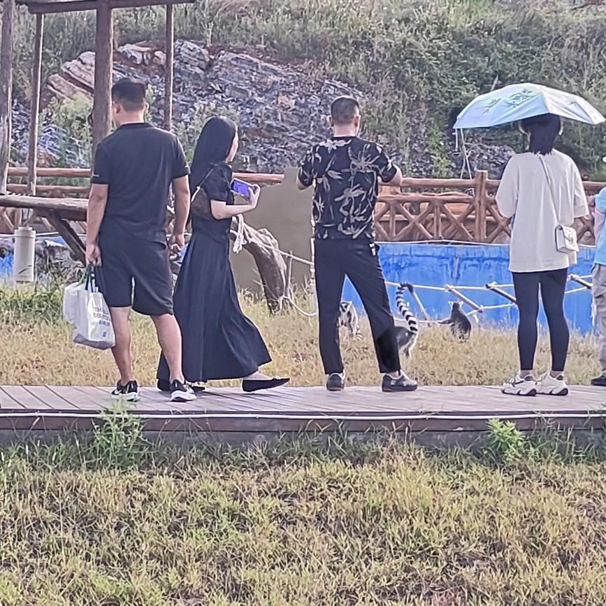 情绪脑控