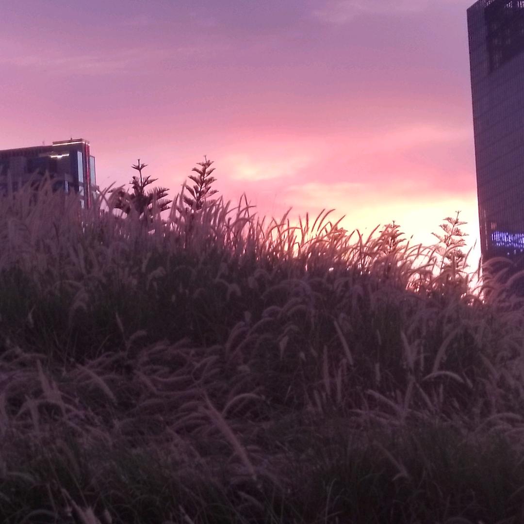 哎呦喂