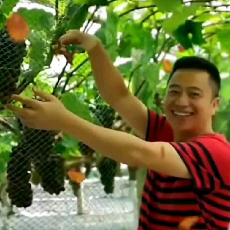 俊哥（感受生活，分享美好）