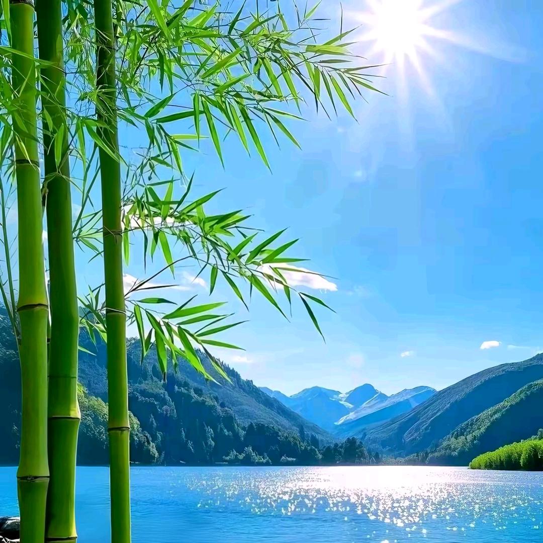 林