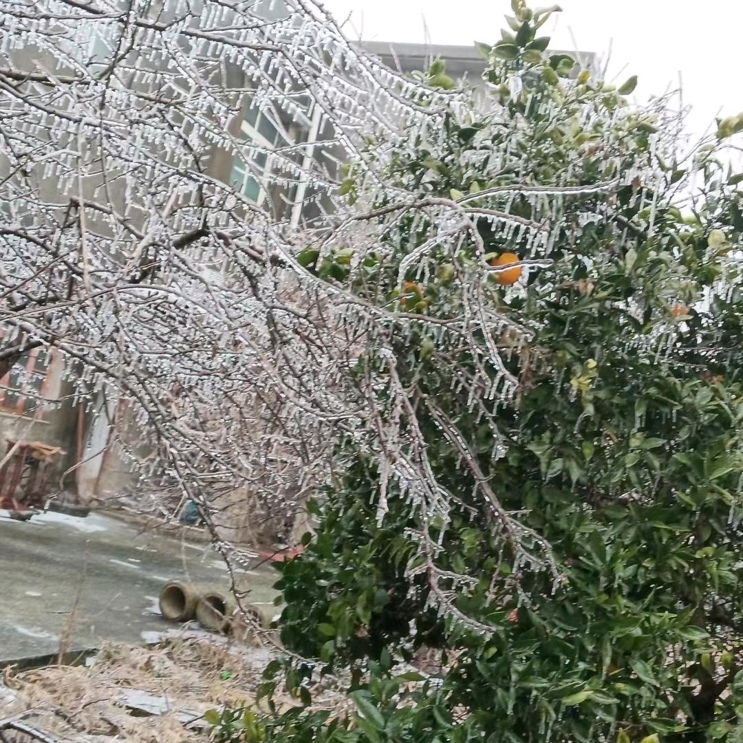 @&&༂༂2025开心&