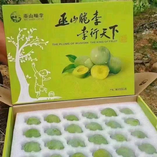开心快乐