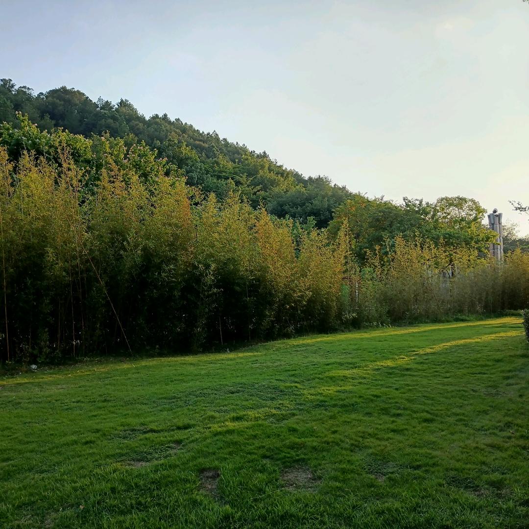 😇 ⭐️May 😇⭐️