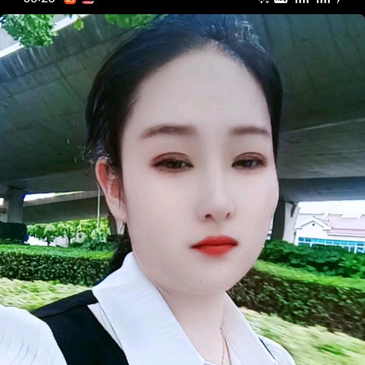 猪猪