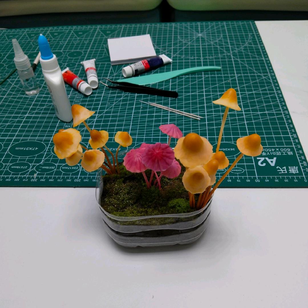 奔跑的蘑菇