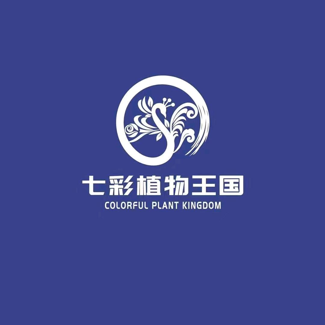草本精华臻选店