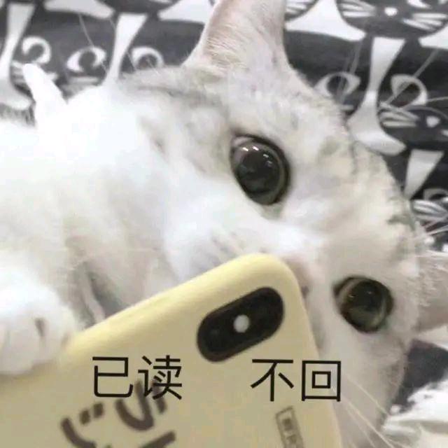 妮姬！