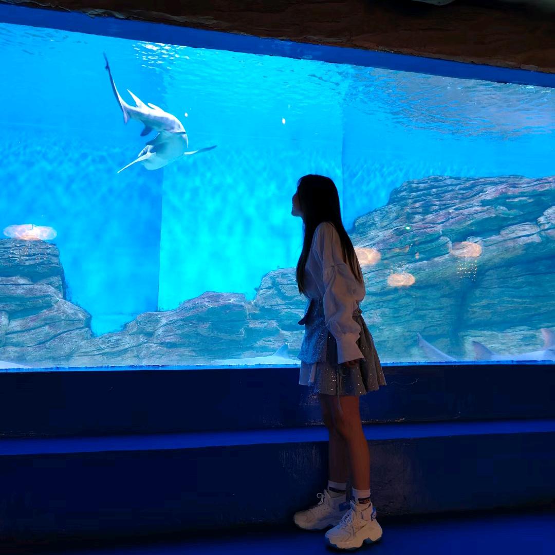 狐狸也许是玫瑰