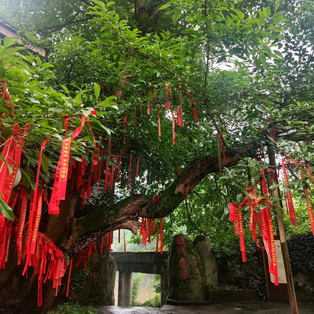 请不要画大饼