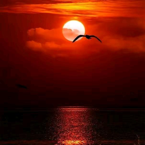 ⚕️人🌊生☘️无💫悔🚬