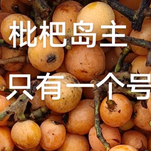 枇杷岛岛主商贸