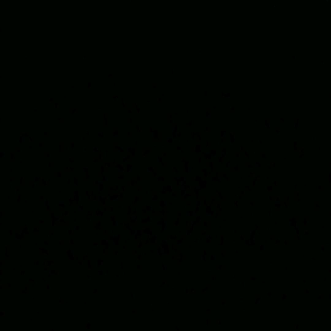 （忍者必须死3）阿白