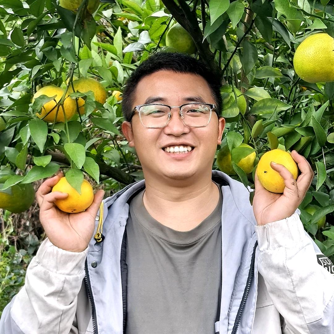 橙飞优选水果-小黄