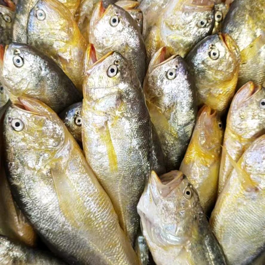 鳌江巴黎城小朱海鲜