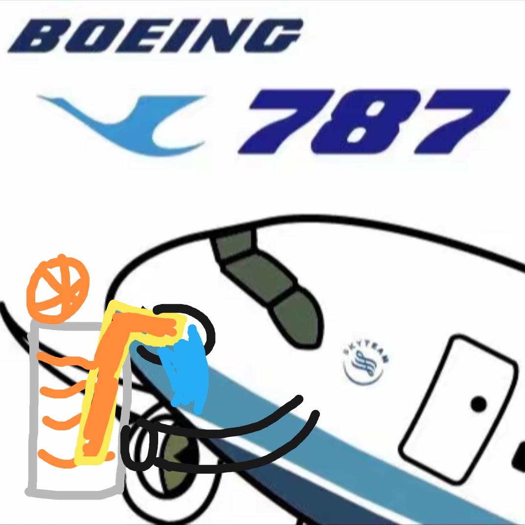 不会飞的厦航波音787-9🛫