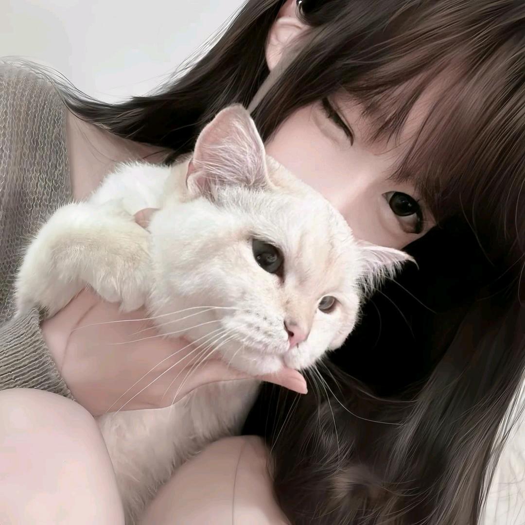 土豆泥脑袋
