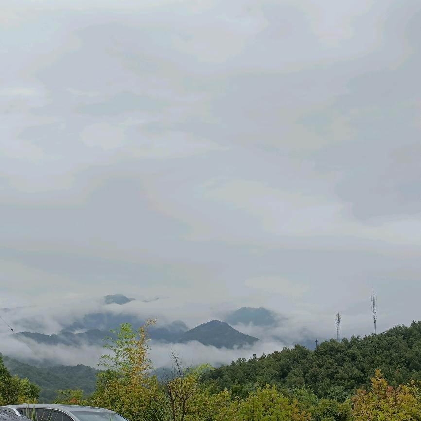 是你平哥呀✔