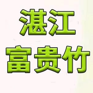 湛江富贵竹基地
