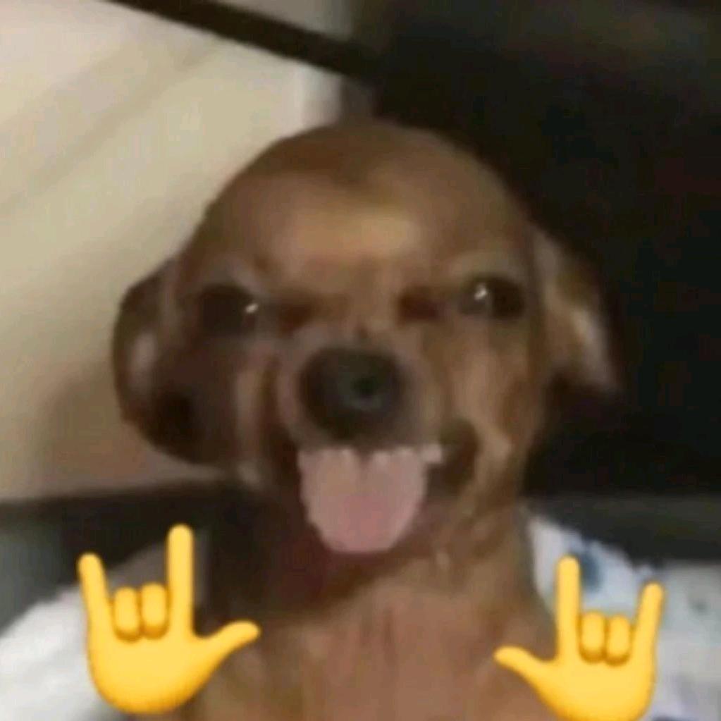 1234