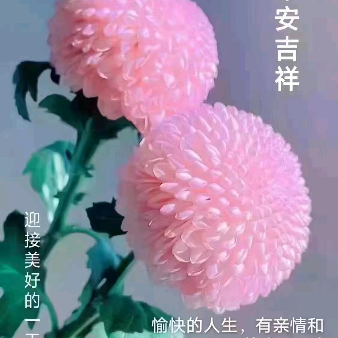 知足
