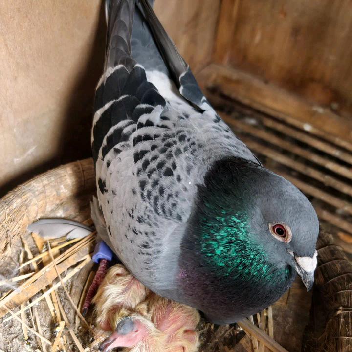 一个人丶一座城丶一段伤