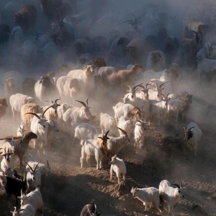 新疆罗布村生鲜生活坊