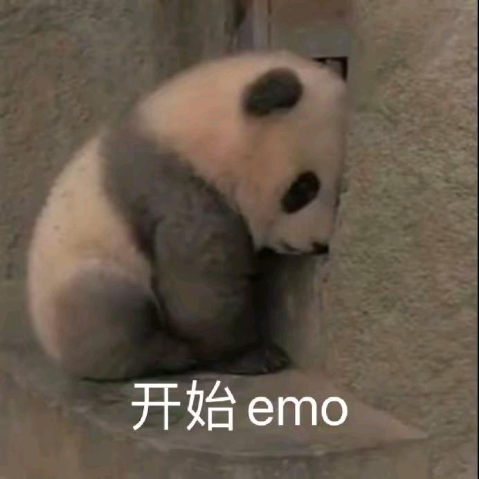 爱看小说的人