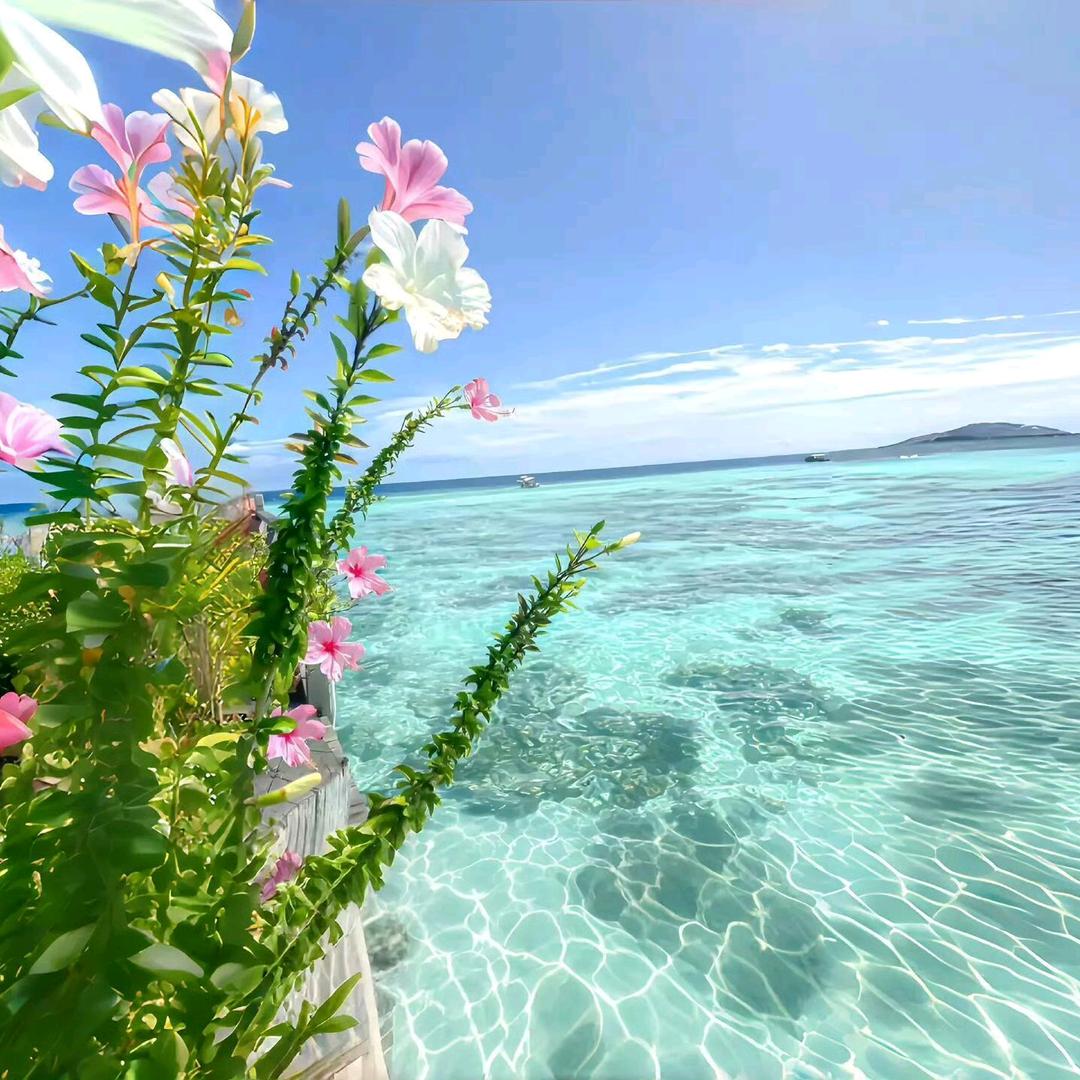 江海商行