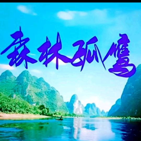 孤鹰2