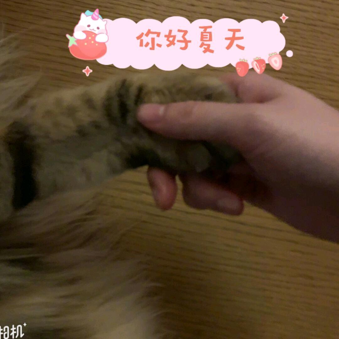 川