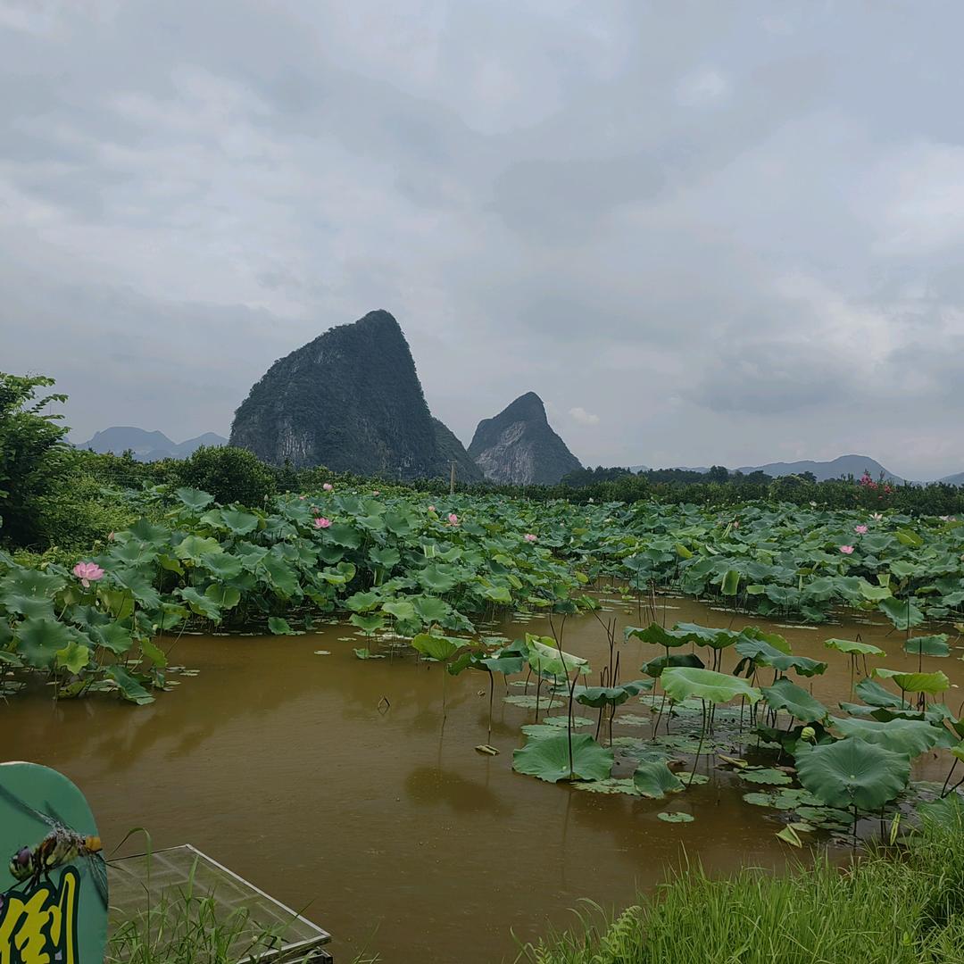 二次元函数