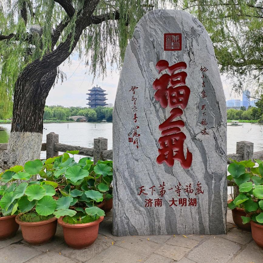 邵菲