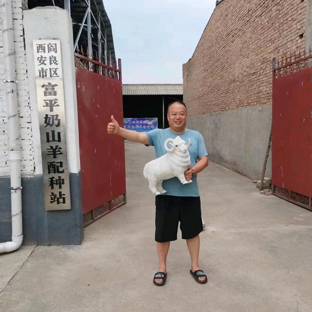 牛人做羊事