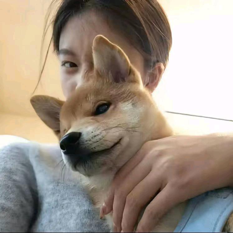 毛豆_^