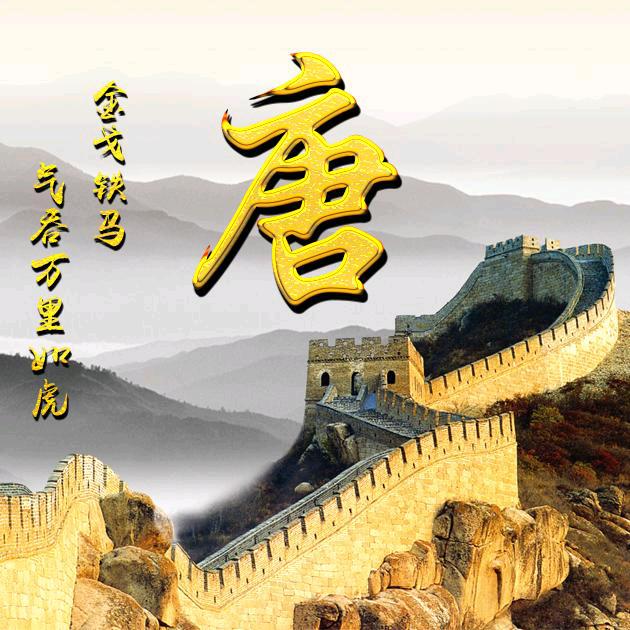 主动网被动网边坡绿化