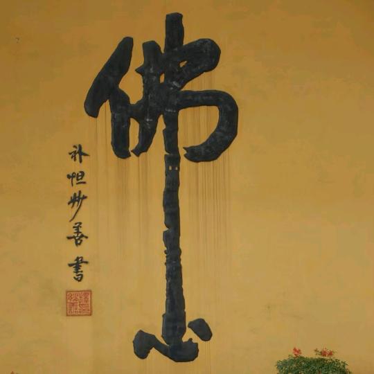 向畅