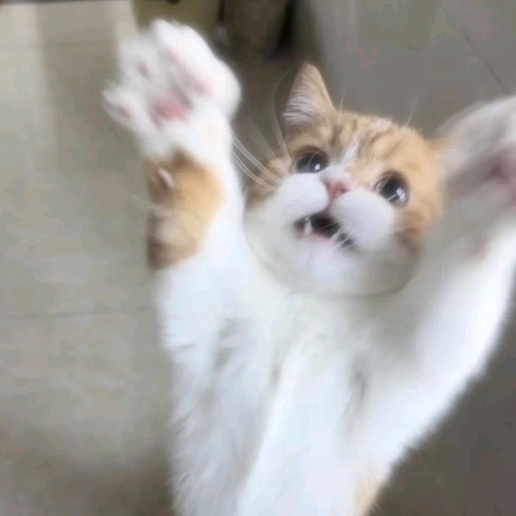 藤椒鱼