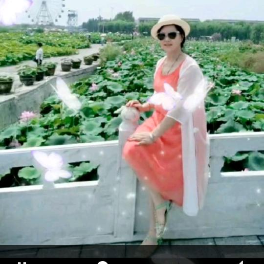 3862yxl美洋洋