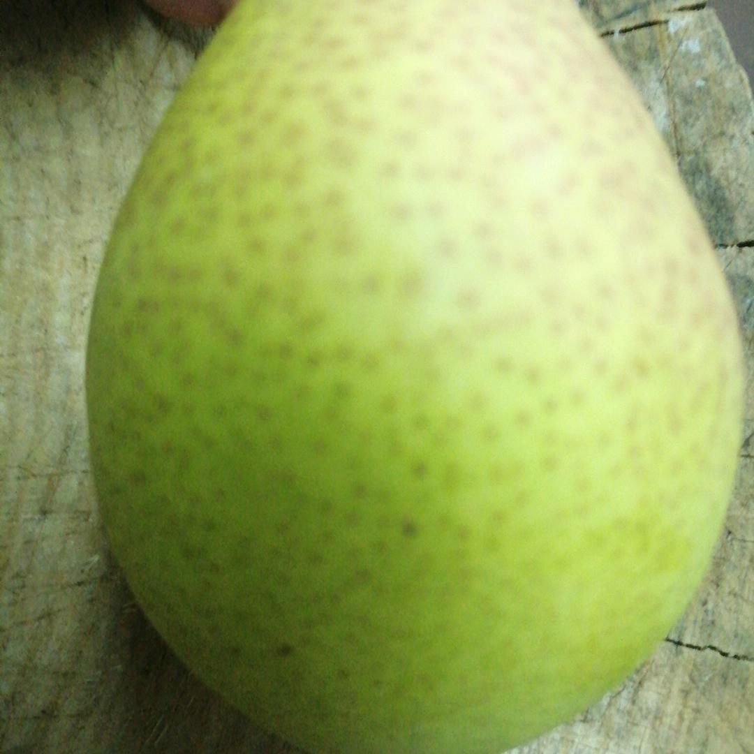 漂泊的心