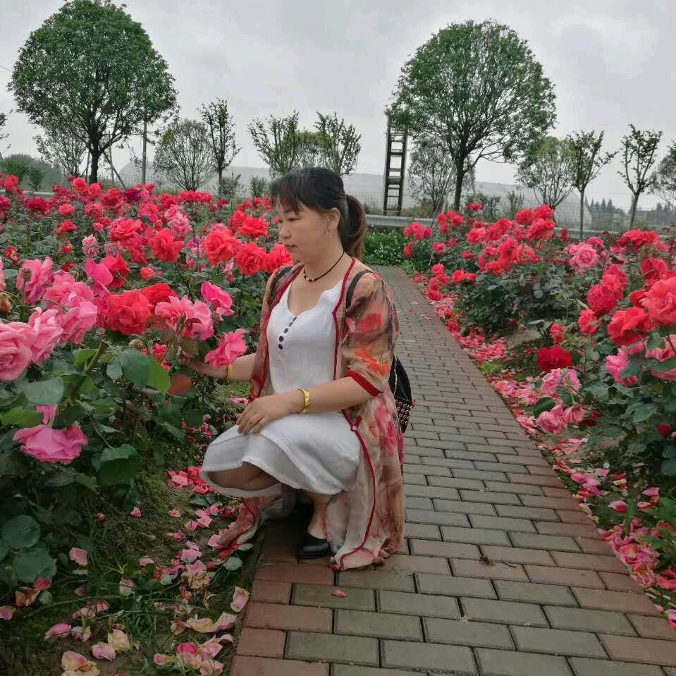 l何飞安