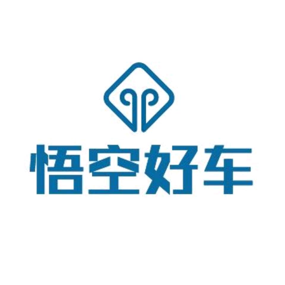悟空好车 二条