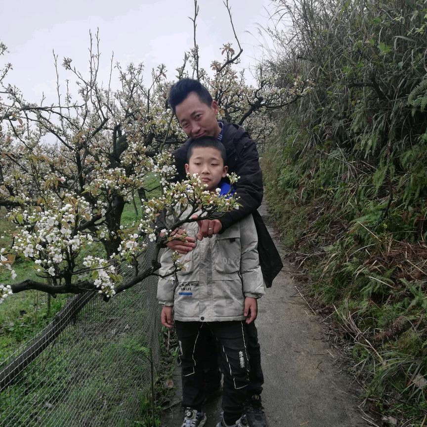 🐰丢弃、烦恼🌸