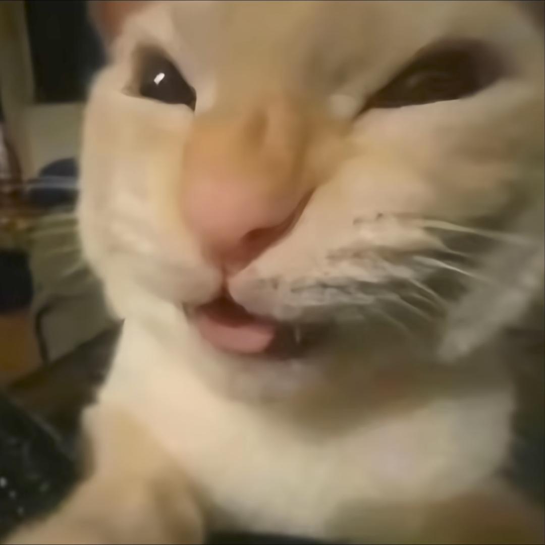 天下无贼👾