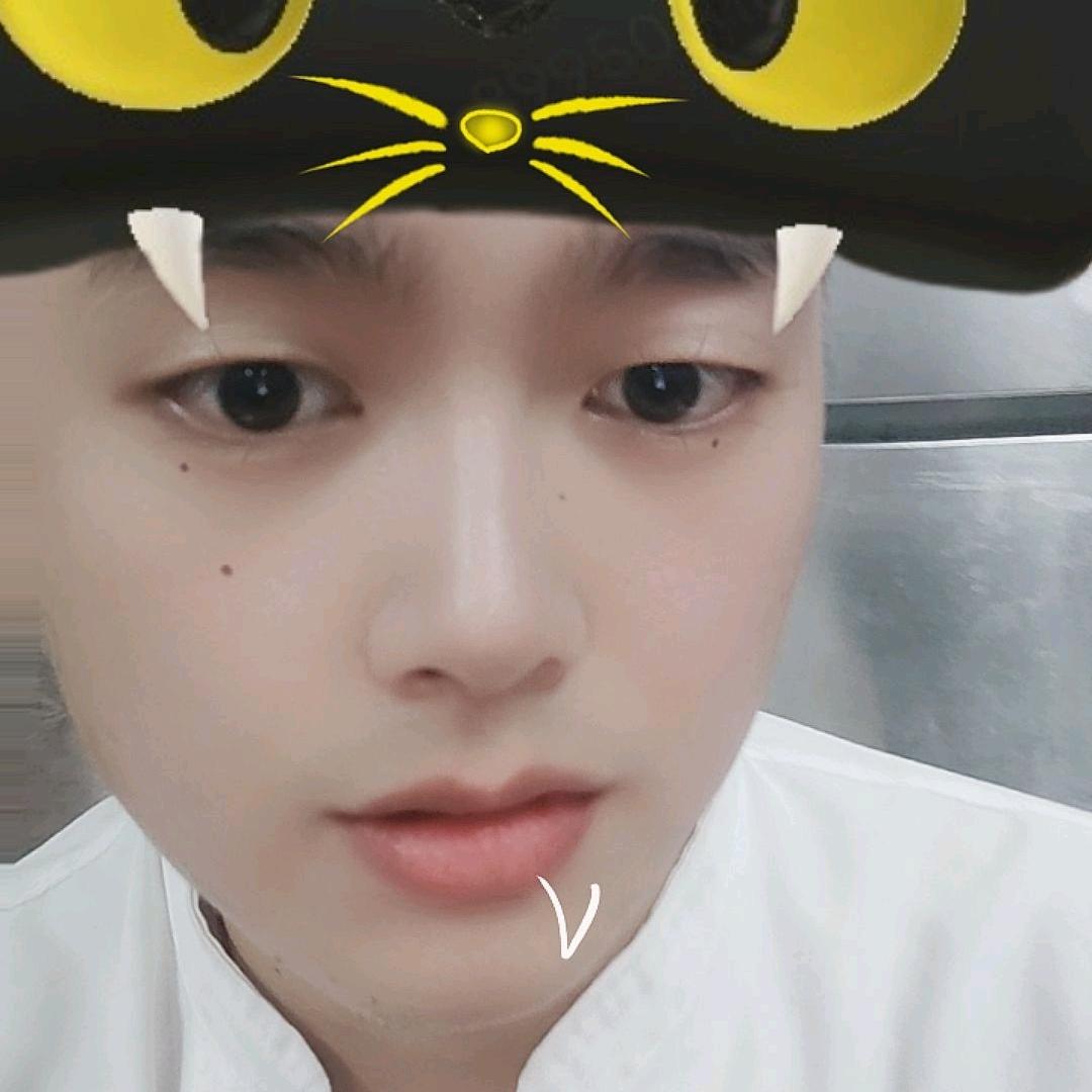 碧绿银杏念榆耳🇨🇳