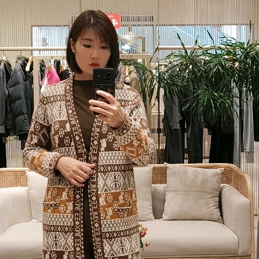 百川入海（艳飞）