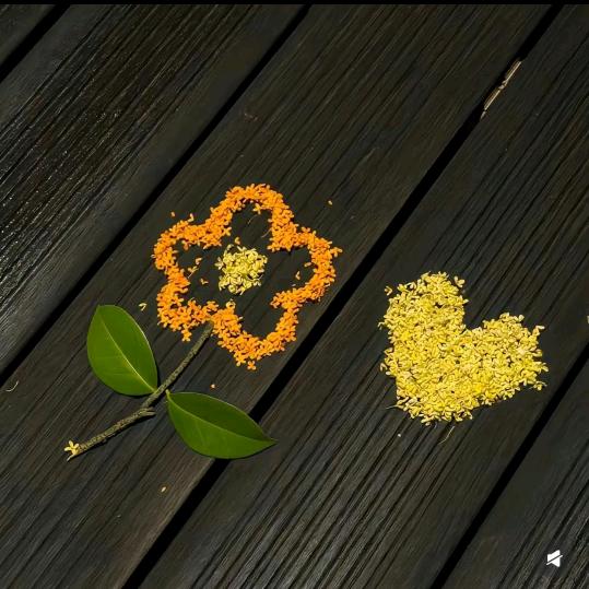 妳恰不恰香菜