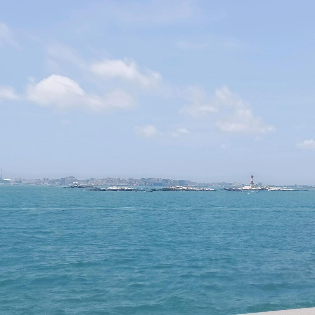 龙