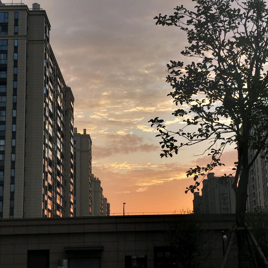 ￥ 小迷糊