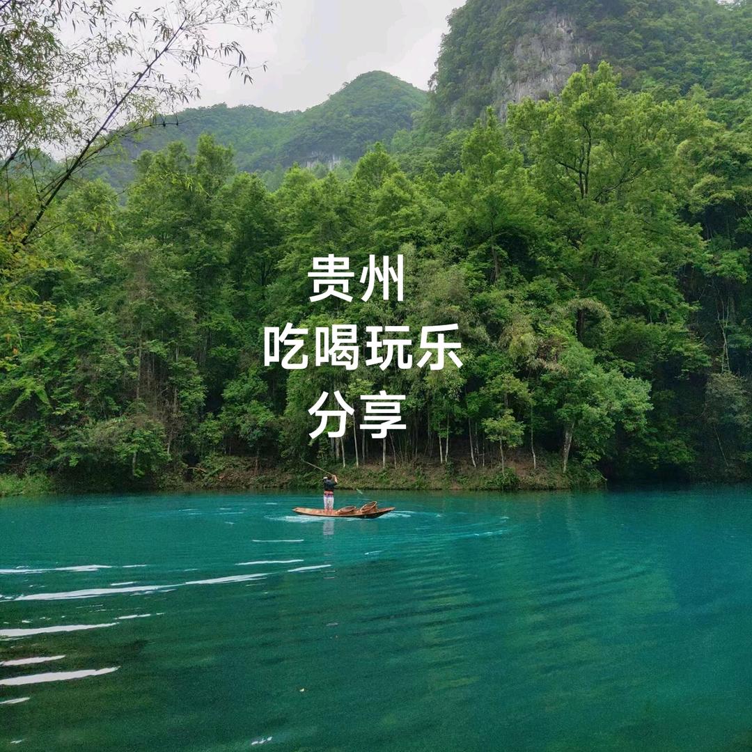 橙橙爱分享